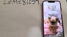 Mint
													Apple iPhone 13 - Unlocked, Red, 128 GB, A2482, photo 1 of 8