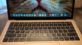 Good
													MacBook Air 2019 - 13" - I5, Gold, 128 GB, 8 GB, photo 1 of 6