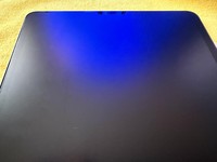 Apple iPad Pro 12.9" 5th Gen 2021
