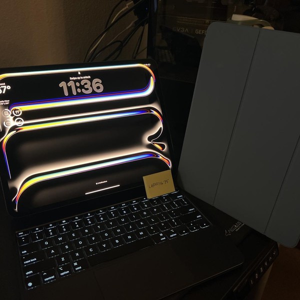 Apple iPad Pro 13 inch (M4) 2024 - Wi-Fi, 256 GB, Black, 8 GB, A2925, Standard Glass