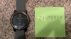 Mint
													Garmin Vivoactive 4 - Silver, photo 4 of 5