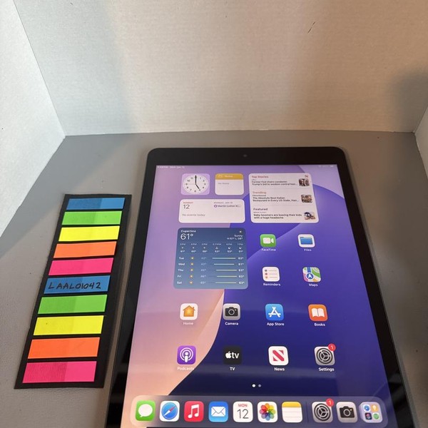 Apple iPad 9th Gen - Unlocked, 256 GB, Gray, A2603