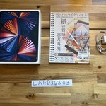 Mint Apple iPad Pro 12.9 inch 5th Gen 2021 - Wi-Fi, 256 GB, Gray