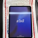 Mint Apple iPad Pro 11 inch (M4) 2024 - Unlocked, 256 GB, Silver, 8 GB, A2837, Standard Glass