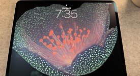 Good
													Apple iPad Pro 13" (M4) 2024 - Wi-Fi, Silver, 1 TB, 16 GB, A2925, Nano-texture Glass, photo 4 of 16