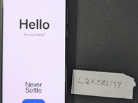 OnePlus 13