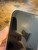 Good Apple iPhone 15 - Unlocked, Blue, 128 GB, A2846