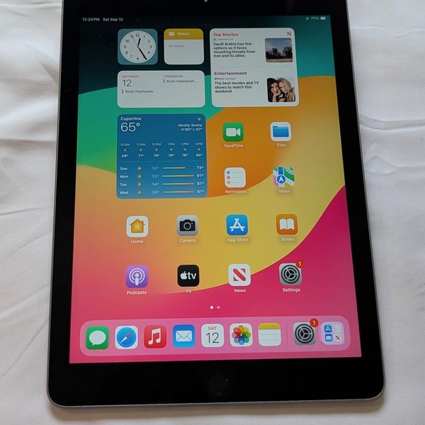 Apple iPad (6th Gen) - Unlocked, 32 GB, Gray, A1954