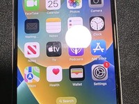 Apple iPhone X