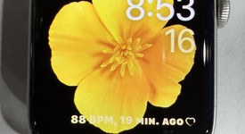 Good
													Apple Watch SE 2nd Gen 44mm - Silver, A2723 - GPS, Aluminum, photo 2 of 4