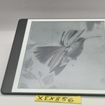 Mint Amazon Kindle Scribe 10.2 inch (2nd Gen) - 32 GB, Gray