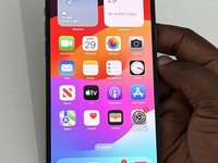 Apple iPhone 12 Pro Max