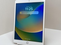 Apple iPad 8th Gen