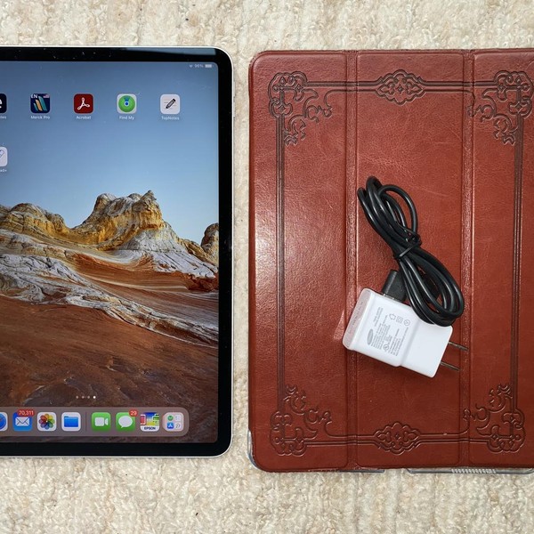 Apple iPad Pro 11 inch 2018 - Unlocked, 256 GB, Silver, A2013