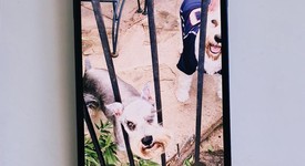 Mint
													Apple iPhone 12 - Unlocked, Blue, 128 GB, A2172, photo 2 of 10