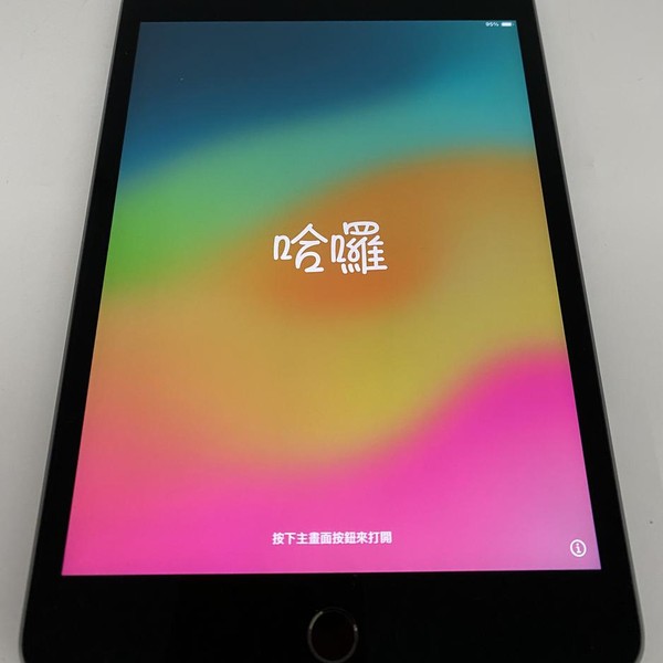 Apple iPad Mini 5th Gen - Unlocked, 256 GB, Gray