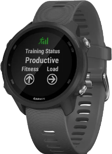 Garmin Forerunner 245 - Gray, Regular