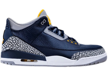 Jordan 3 Retro Michigan PE for sale