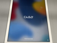 Apple iPad Air 2