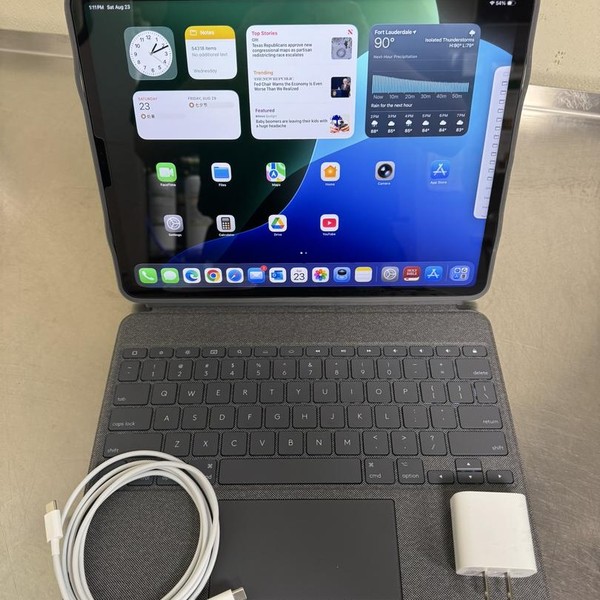 Apple iPad Pro 12.9 inch 5th Gen 2021 - Unlocked, 256 GB, Gray