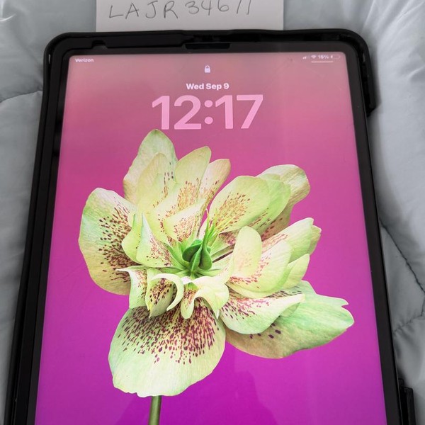 Apple iPad Pro 12.9 inch 5th Gen 2021 - Unlocked, 128 GB, Gray