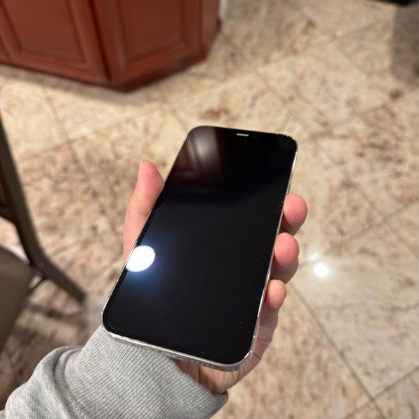 Apple iPhone 12 Pro - Unlocked, Silver, 256 GB, A2341