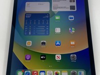 Apple iPad Pro 11" 3rd Gen 2021