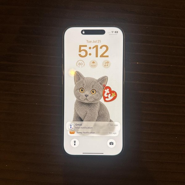 Apple iPhone 17 - Unlocked, 256 GB, Sage, A3258