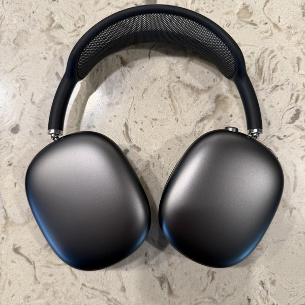 Apple AirPods Max - Gray