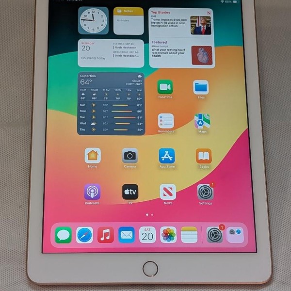 Apple iPad 6th Gen - Unlocked, 32 GB, Gold, A1954