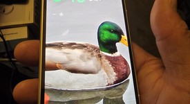 Mint
													Google Pixel 10 Pro Fold - Unlocked, Jade, 512 GB, GU0NP, photo 1 of 20