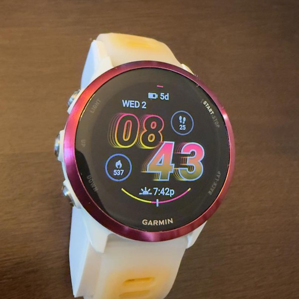 Garmin Forerunner 570 - Raspberry, 42mm