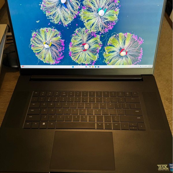 Razer Blade 17 inch 2022 - 1 TB, 32 GB, Intel Core i7, Full HD
