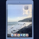Good Apple iPad Mini (5th Gen) - Unlocked, 64 GB, Silver