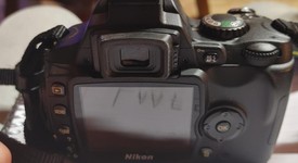 Mint
													Nikon D40, photo 4 of 4