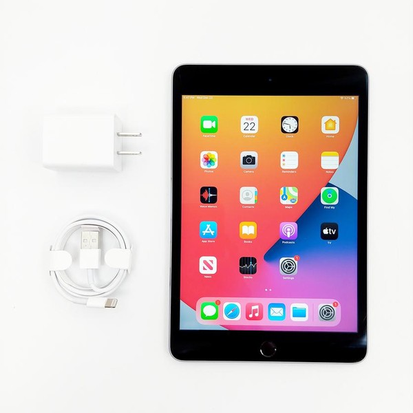 Apple iPad Mini 4 - Wi-Fi, 32 GB, Gray