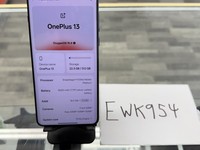 OnePlus 13