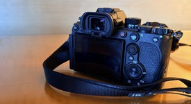 Good
													Sony a1, photo 3 of 8