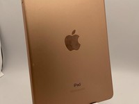 Apple iPad Mini 5th Gen