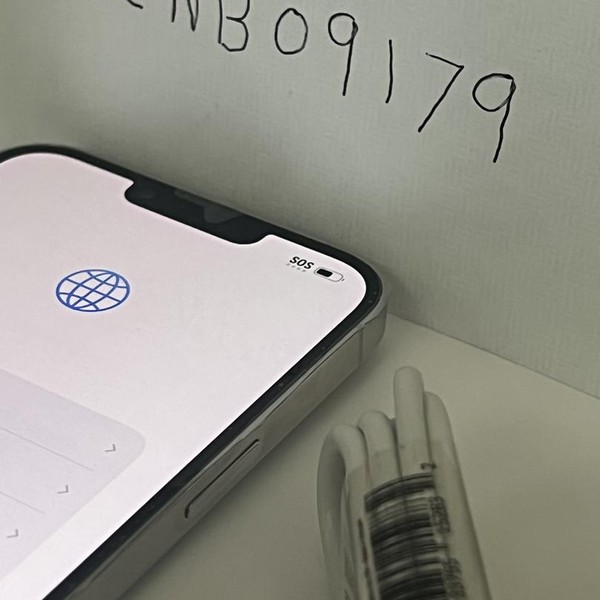 Apple iPhone 13 Pro Max - Unlocked, 128 GB, Silver, A2484