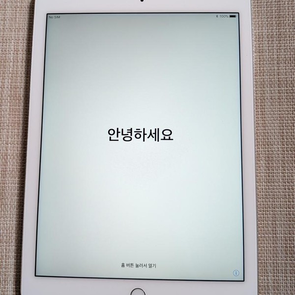 Apple iPad Air 2 - Unlocked, 64 GB, Silver