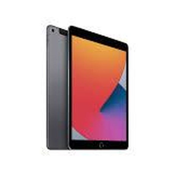 Apple iPad (8th Gen) - Unlocked, 32 GB, Gray, A2428