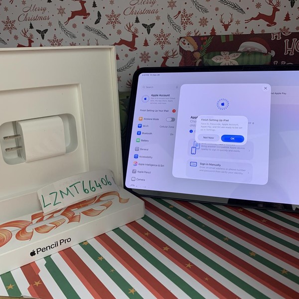 Apple iPad Pro 11 inch (M4) 2024 - Wi-Fi, 256 GB, Black, 8 GB, A2836, Standard Glass