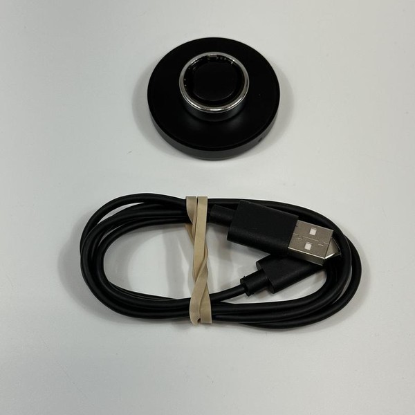 Oura Ring Gen 3 - Titanium, Size 9, Horizon