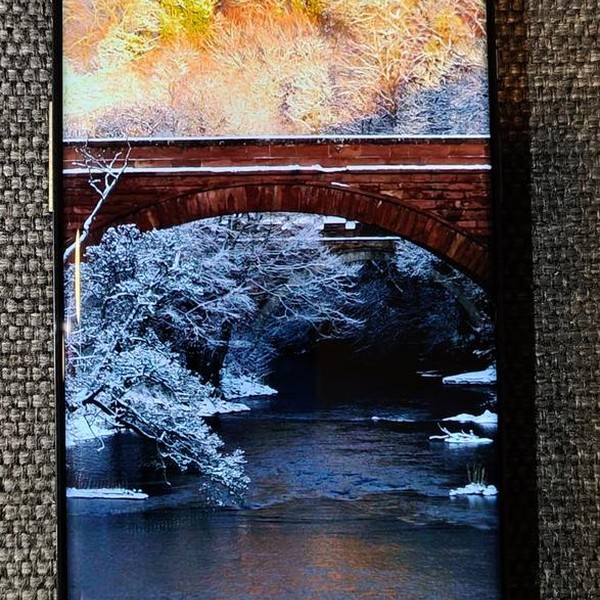 OnePlus 9 Pro - Unlocked, 256 GB, Green, 12 GB, LE2125