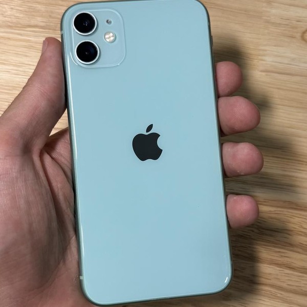 Apple iPhone 11 - Unlocked, 64 GB, Green, A2111