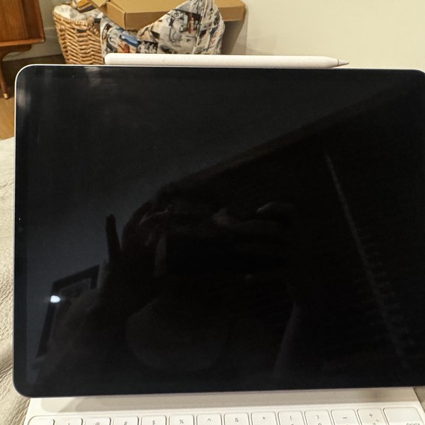Apple iPad Pro 12.9 inch 5th Gen 2021 - Wi-Fi, 256 GB, Gray