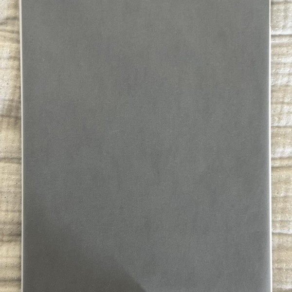 Apple iPad Air (4th Gen) - Unlocked, 256 GB, Silver, A2324