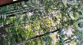 Fair
													Apple iPhone 13 Pro - Unlocked, Sierra Blue, 128 GB, A2483, photo 1 of 8