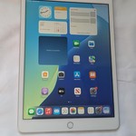 Good Apple iPad (8th Gen) - T-Mobile, 32 GB, Silver, A2428